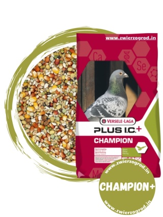 VERSELE-LAGA Champion Plus I.C.+ – karma lotowa dla gołębi 20 kg