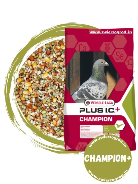 VERSELE-LAGA Champion Plus I.C.+ – karma lotowa dla gołębi 20 kg