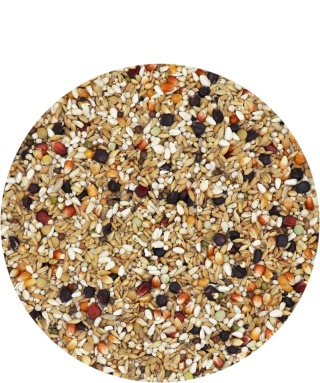 VERSELE-LAGA Master Relax – Karma dietetyczna / sportowa z czarną kukurydzą 20 kg