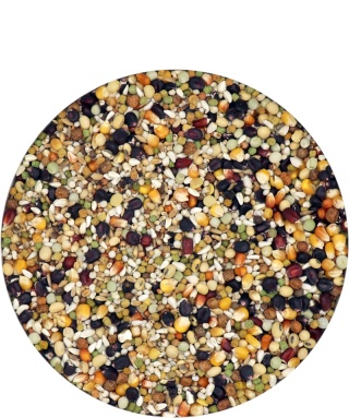 VERSELE-LAGA Champion Plus Black Label – Karma lotowa z czarną kukurydzą | Linia Black Label 20 kg