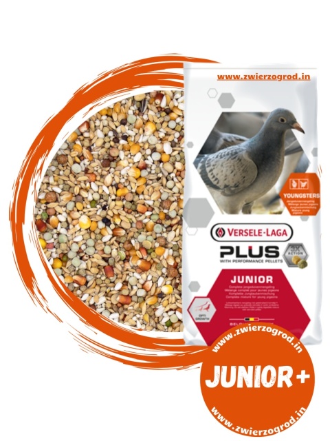 VERSELE-LAGA Junior Plus I.C.+ karma dla młodych gołębi 20 kg