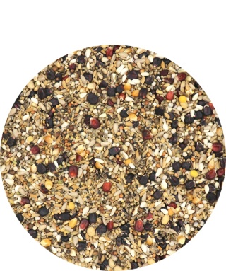 VERSELE-LAGA Master Widowers – Karma lotowa dla wdowców 20 kg