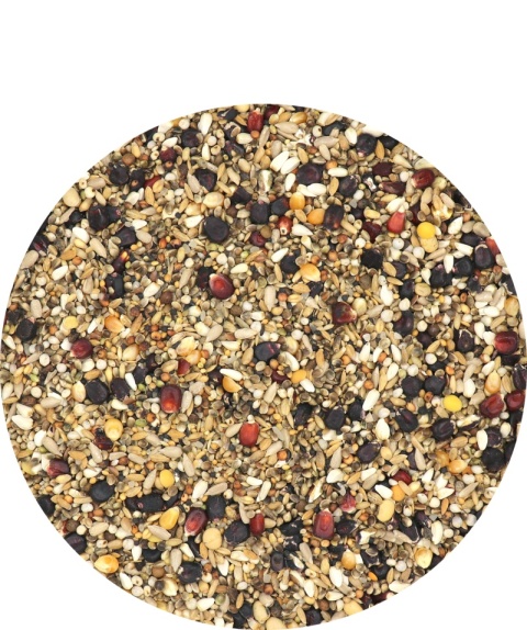 VERSELE-LAGA Master Widowers – Karma lotowa dla wdowców 20 kg