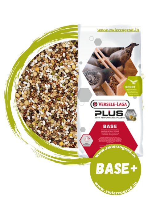 VERSELE-LAGA Base Plus I.C.+ – Karma lotowa regeneracyjna | Immunity Concept+ 20 kg