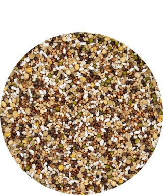 VERSELE-LAGA Base Plus I.C.+ – Karma lotowa regeneracyjna | Immunity Concept+ 20 kg