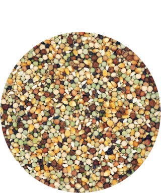 VERSELE-LAGA Traditional Premium Active Life Breeding – Mieszanka rozpłodowa dla gołębi pocztowych 20 kg