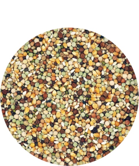 VERSELE-LAGA Traditional Premium Active Life Breeding – Mieszanka rozpłodowa dla gołębi pocztowych 20 kg