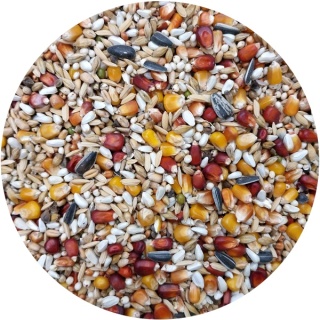 VERSELE LAGA Traditional Premium Active Life Speed Karma lotowa – krótkie dystanse (100–400 km) 20kg