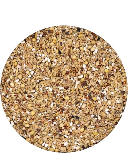 VERSELE LAGA Hirn Mixture – Faza 1 | Karma lotowa dla wdowców | 20 kg