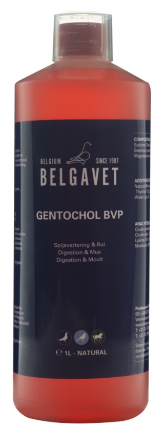 BELGAVET GENTOCHOL 1000ml  – wsparcie trawienia i pierzenia dla gołębi pocztowych