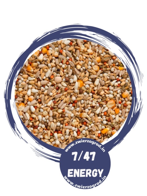 BEYERS Enzymix 7/47 Modern System Energy wysokotłuszczowa mieszanka energetyczna 20 kg