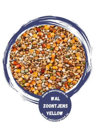 BEYERS PREMIUM Wal Zoontjens Yellow mieszanka bazowa na średnie i długie dystanse  22kg