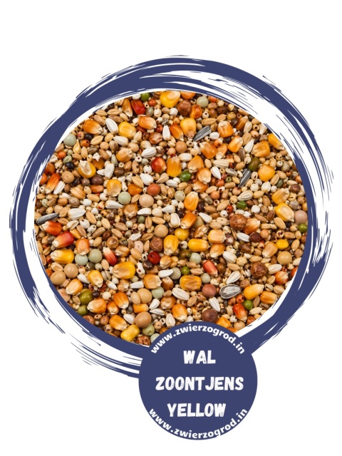 BEYERS PREMIUM Wal Zoontjens Yellow mieszanka bazowa na średnie i długie dystanse  22kg
