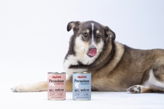 Comfy Appetit Premium Łosoś 400 g – Mokra karma pełnoporcjowa dla psów