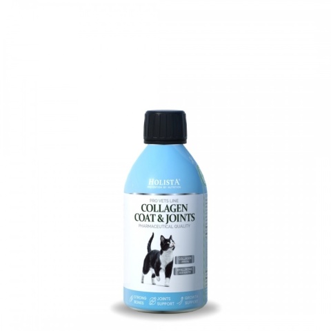 Holista Collagen Cats Coat & Joints 250 ml Syrop kolagenowy dla kotów – stawy, ruch i piękna sierść