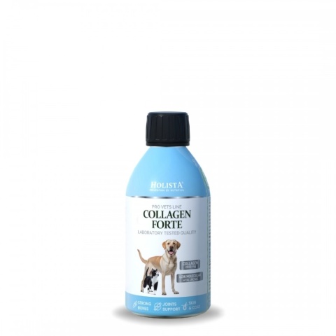 Holista Collagen Forte 100 ml Syrop kolagenowy dla psów i kotów – stawy, ruch i regeneracja