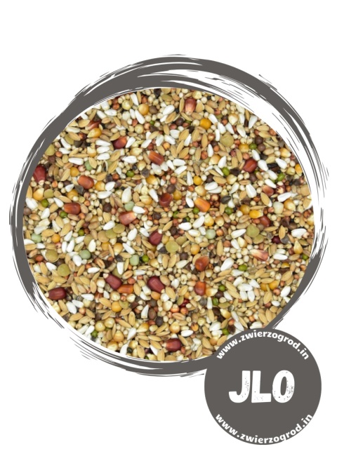 MDM JLO „Młody Olimpijczyk” – mieszanka lotowa dla młodych gołębi | z popcornem 25kg