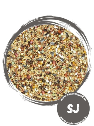 MDM SJ „Start Junior” – mieszanka kondycyjna dla młodych gołębi | przygotowanie do treningów