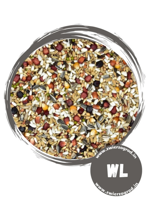 MDM WL „Concorde” – mieszanka dla wdowców | bez nasion strączkowych, maksymalna energia 25kg