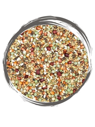 MDM Wiosenna Forma MW 25 kg – mieszanka przygotowawcza dla gołębi pocztowych Siła, lekkość i gotowość do sezonu