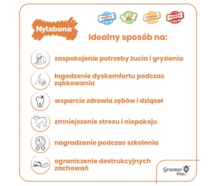 Nylabone Chicken Starter Kit S - zestaw trzech gryzaków dla szczeniaka