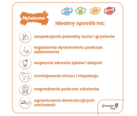 Nylabone Chicken Starter Kit S - zestaw trzech gryzaków dla szczeniaka