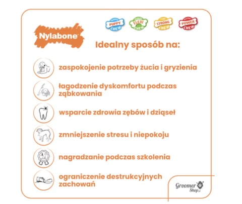 Nylabone Puppy Beef Bone S - bezpieczny gryzak dla szczeniaka, kość o zapachu wołowiny
