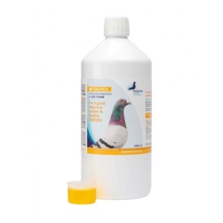 PIGEON HEALTH & PERFORMANCE METACHOL 1000 ml – wsparcie wątroby, trawienia i zdrowego upierzenia