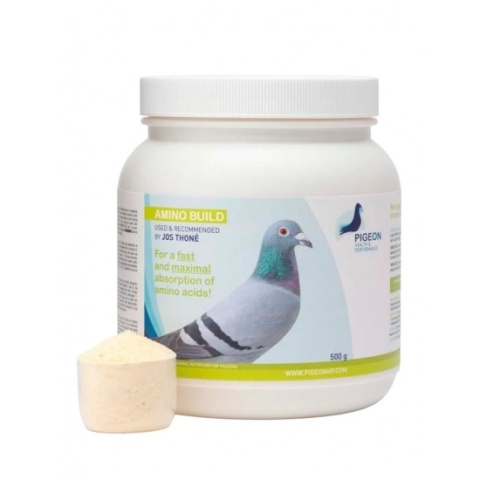 PIGEON HEALTH&PERFORMANCE AMINO BUILD 500 g – suplement aminokwasowy dla gołębi pocztowych