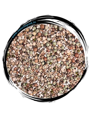 POLMARK Optima Rozpłodowa BK 20 kg – wysokobiałkowa karma dla gołębi w okresie rozpłodu