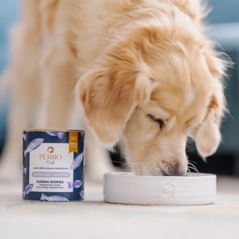 Perro Karma mokra Morszczuk z batatem – monobiałkowa formuła dla psów dorosłych 400g