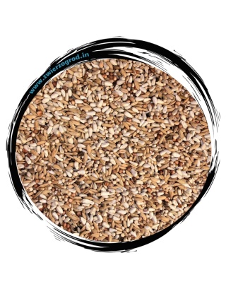 Polmark Optima Sprint – specjalistyczna mieszanka na loty krótkie i szybkie