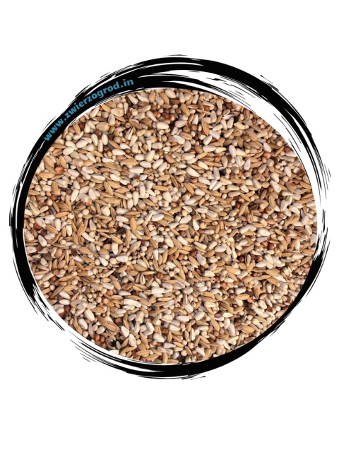 Polmark Optima Sprint – specjalistyczna mieszanka na loty krótkie i szybkie