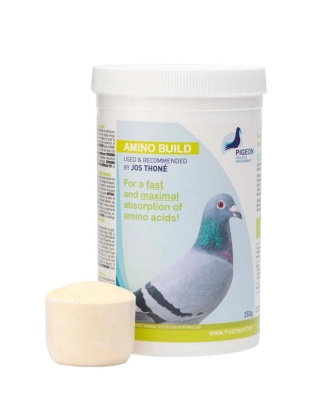 PIGEON HEALTH&PERFORMANCE AMINO BUILD 250 g – suplement aminokwasowy dla gołębi pocztowych