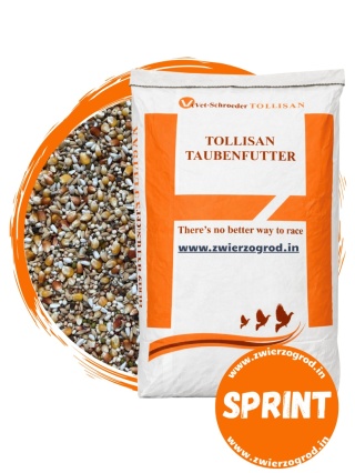 TOLLISAN SPRINT – niskobiałkowa karma lotowa dla gołębi starych i młodych