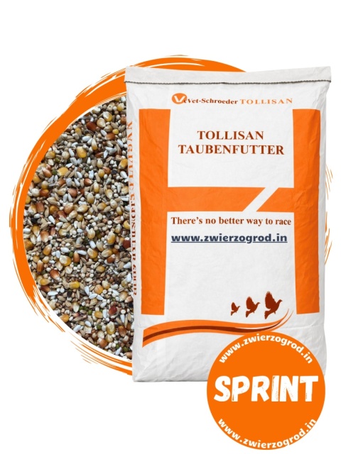 TOLLISAN SPRINT – niskobiałkowa karma lotowa dla gołębi starych i młodych