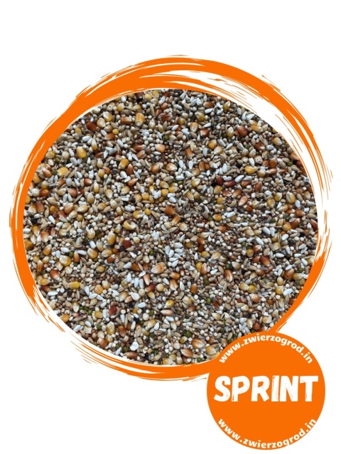 TOLLISAN SPRINT – niskobiałkowa karma lotowa dla gołębi starych i młodych