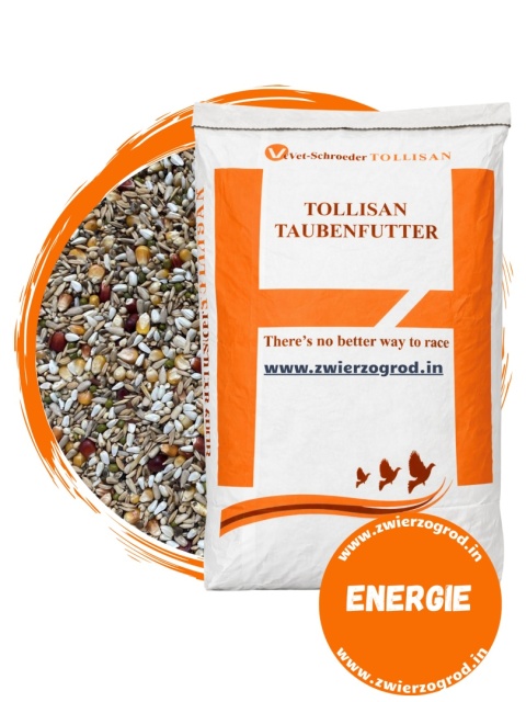 TOLLISAN Sprint Energie – niskobiałkowa mieszanka lotowa dla gołębi 20 kg