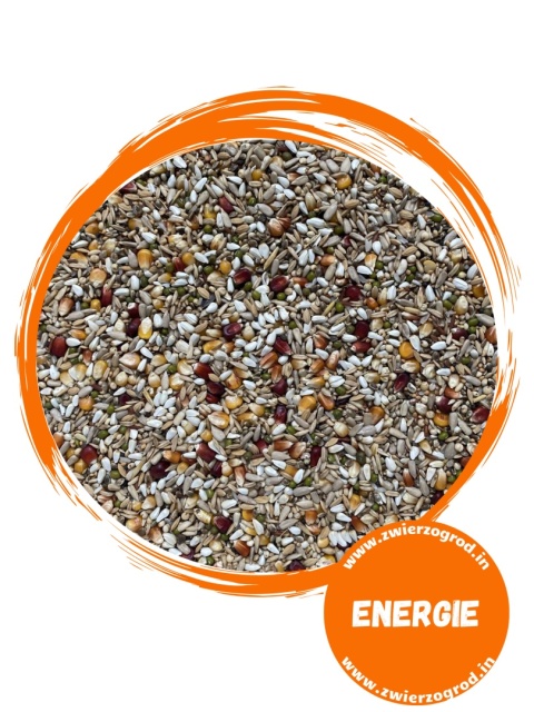 TOLLISAN Sprint Energie – niskobiałkowa mieszanka lotowa dla gołębi 20 kg