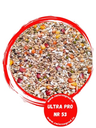 VANROBAEYS 53 Sport Ultra PRO Revolution 20 kg – karma uzupełniająca dla gołębi, idealna na treningi przed sezonem