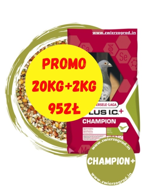 VERSELE-LAGA Champion Plus I.C.+ – karma lotowa dla gołębi 20 kg + 2kg Gratis
