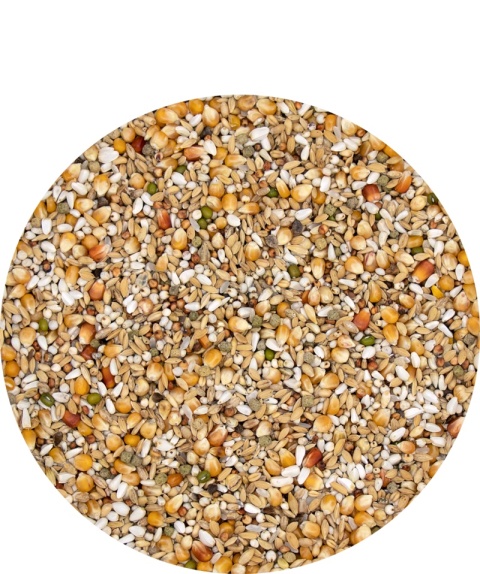 VERSELE-LAGA Gerry Plus – Karma lotowa o obniżonej zawartości białka 20 kg + 2kg gratis