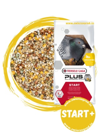 VERSELE-LAGA Start Plus I.C.+ Immunity Concept+ karma rozpłodowa dla gołębi 20 kg + 2kg Gratis