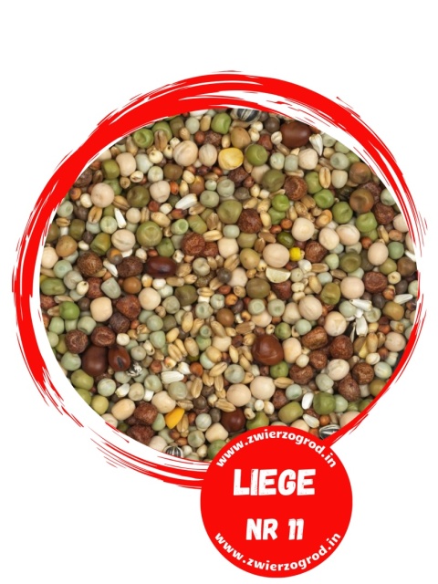 VANROBAEYS 11 Mieszanka Liege 25 kg – karma dla gołębi, idealna do odchowu młodych