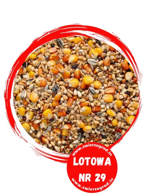 Vanrobaeys Nr 29 – mieszanka lotowa dla gołębi bez nasion strączkowych  20 kg