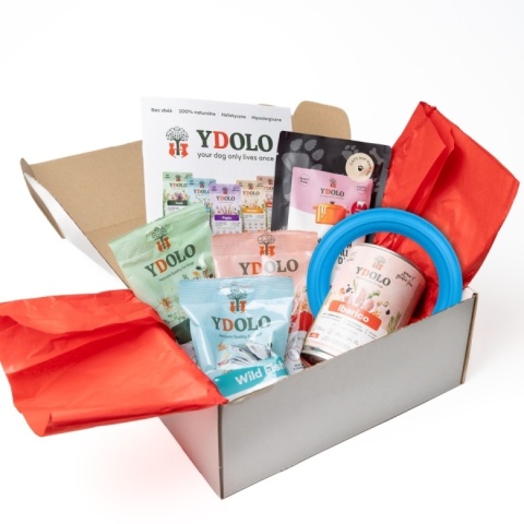 YDOLO Dog Box - box testowy dla dorosłych psów