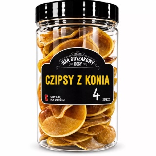 BAR GRYZAKOWY DOGY – Czipsy z Konia