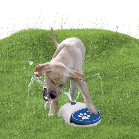 Fontanna wodna CoolPets Splash, fontanna dla psów