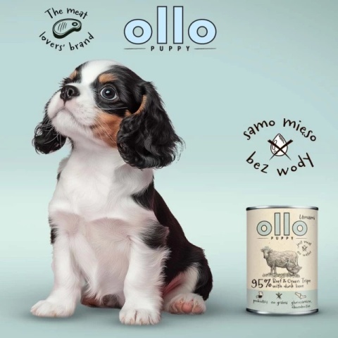 OLLO Puppy Umami Wołowina i Zielone żwacze z kaczą wątrobą - mokra karma dla psa - 850 g