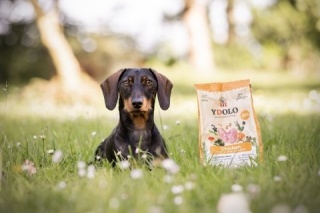 YDOLO MINI Chicken - kurczak i ryby - półwilgotna karma dla psów małych ras (700g)